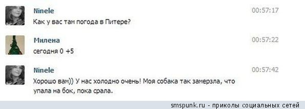 Смешные комментарии из социальных сетей