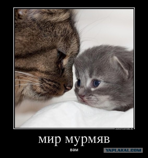 Улыбнёмся?:)