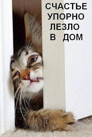 Веселые картинки