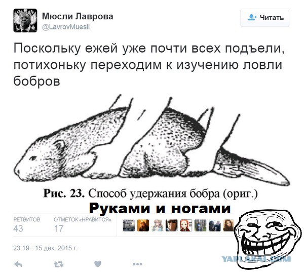 Забавные картинки из Сети