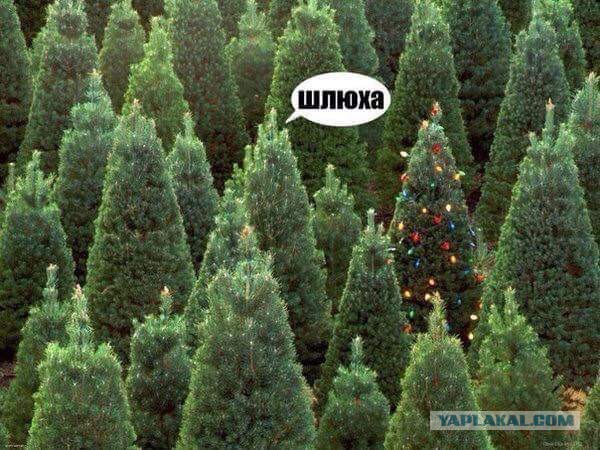 Медработницы с ослепляющими ножками