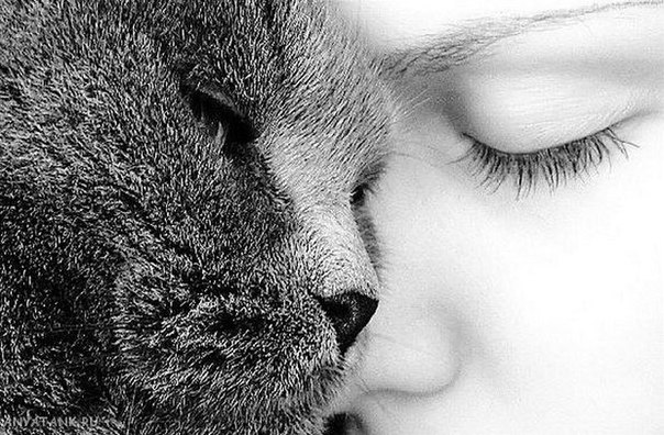 Разные картинки