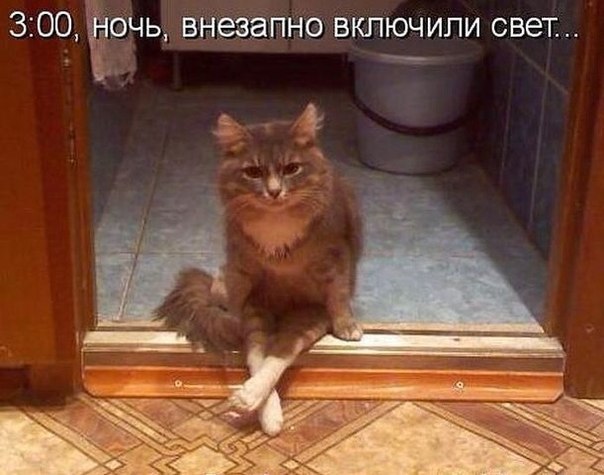 Всяко - разно...картинки