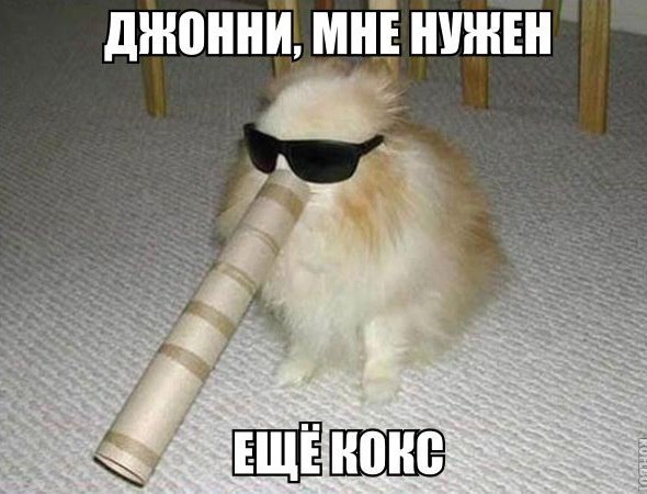Подборка Картинок из сети