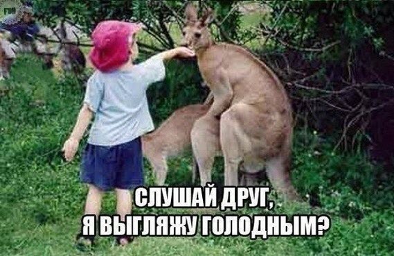 Злые шутки или минутка сарказма на ЯП-е, 16+