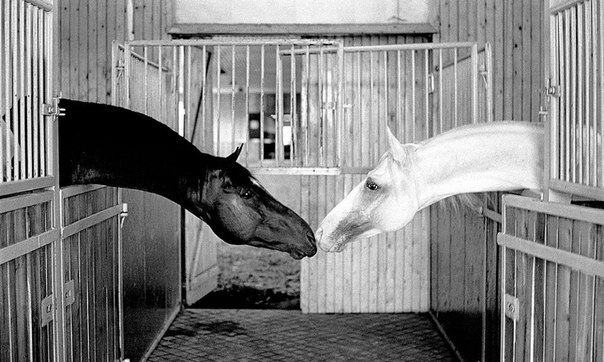 Картинки из Интернетов