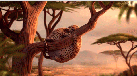 Картинки из сети