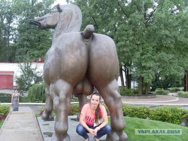 Улов из соцсетей