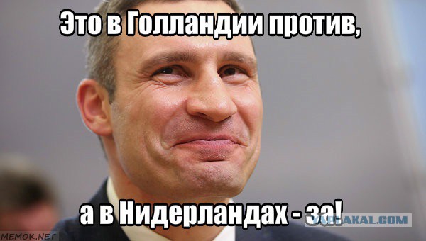 СМИ: 64% голландцев высказались против ассоциации Украины с ЕС