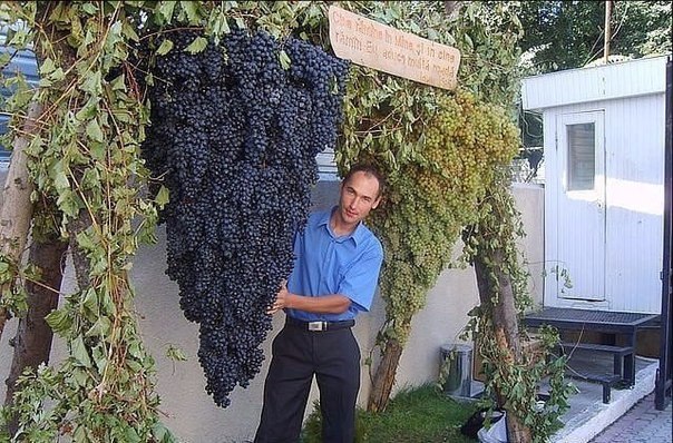 Подборка картинок