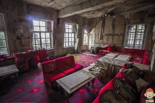 Подборка картинок