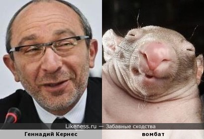 WTF: Что тут происходит?