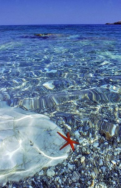 Интересные и веселые картинки