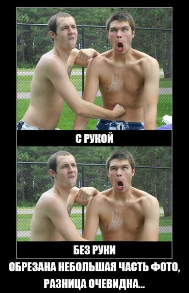 Забавности из интернетов