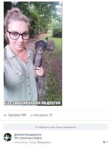 Ужасы и приколы из соцсетей 18+