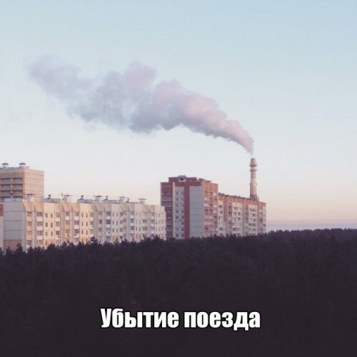 Порция картинок из сети