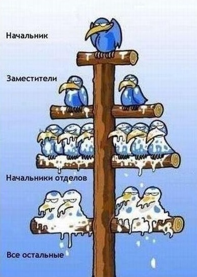 Пост 5 - 54. Карикатурный