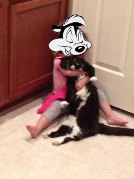 Коты и Кошки