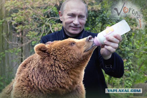 Лучшие фейковые фотографии, наделавшие много шума