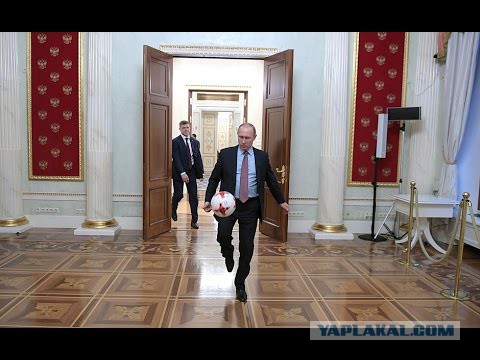 «Мы строили, строили и наконец построили!» — или стадион Зенита за 48 миллиардов рублей