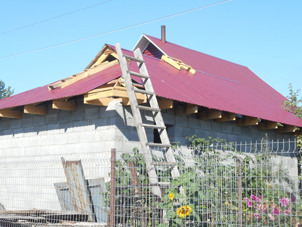 Нужна ли людям дача