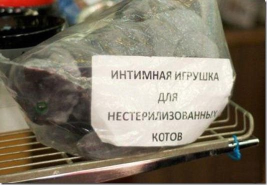 Картинки всякие для поднятия настроения!