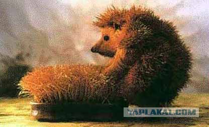Веселые? Картинки