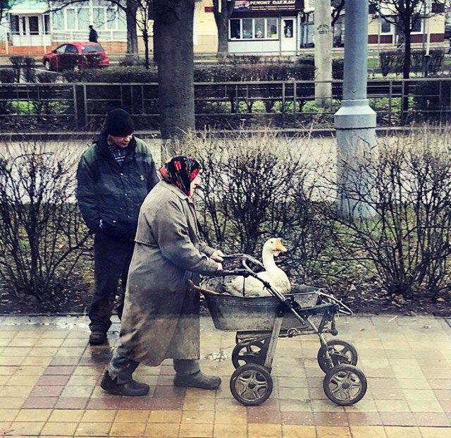 Чудны рабы твои, господи 04.05.18