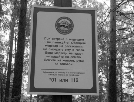 Перлы