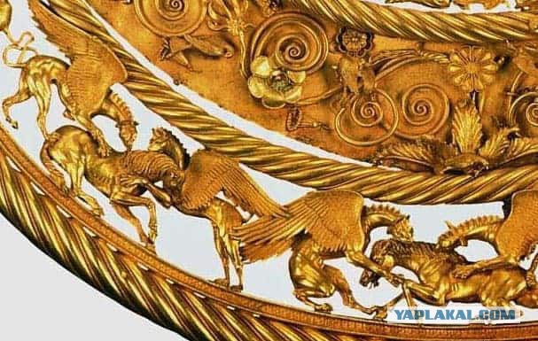 Полистратные окаменелости