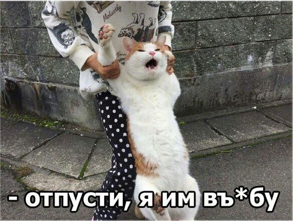 Подборка интересных и веселых картинок