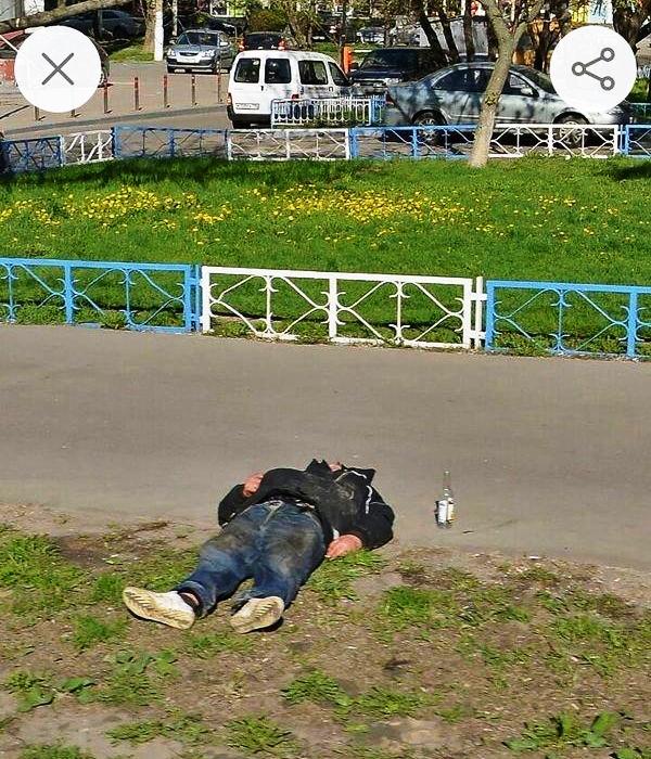 Скотсети и прочие интернеты 22.02.19