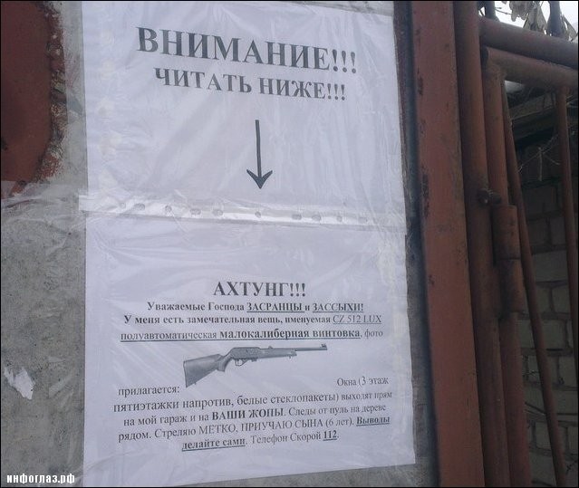 Перлы 12.08.2019