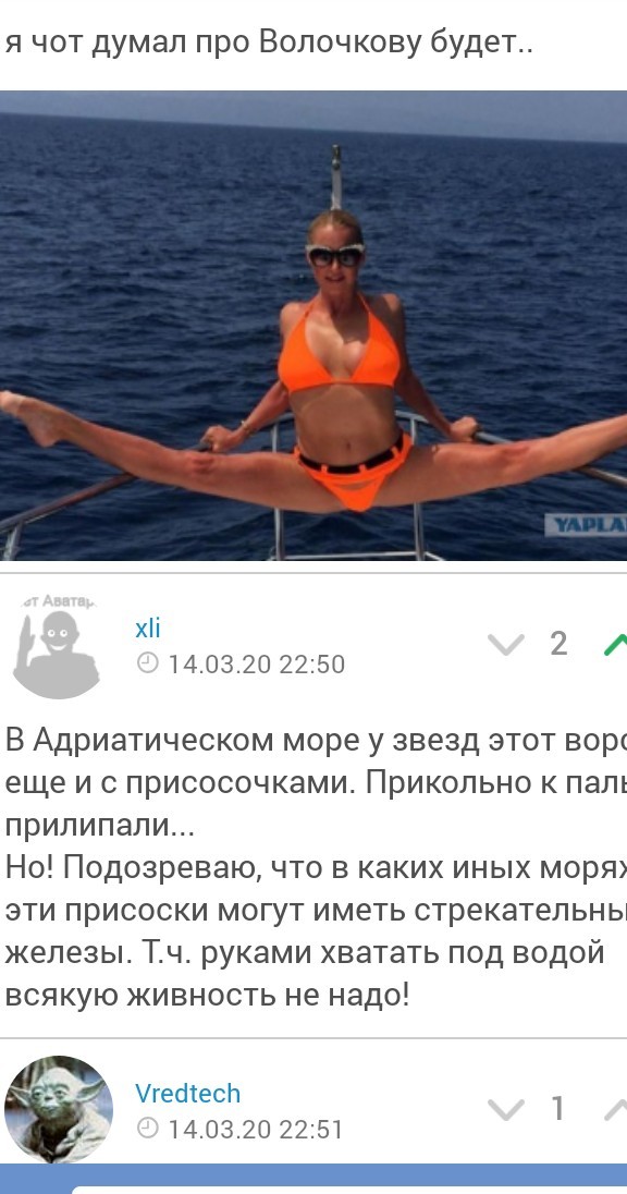Морская звезда