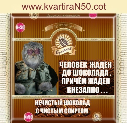 Фотожаба: шоколада "Булгаков Александр"