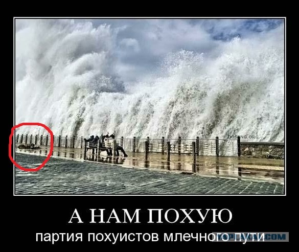 Юмор в картинках 12.08.20