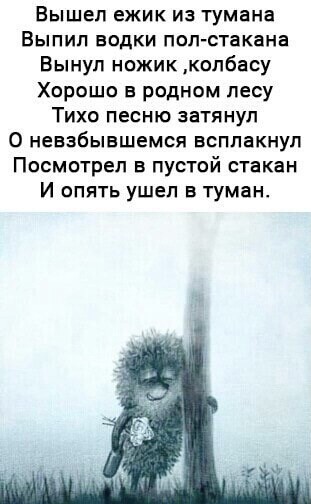 Бредзона 29.10.2020