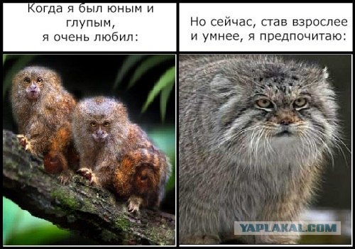 Фотожаба: Когда я был юным и глупым