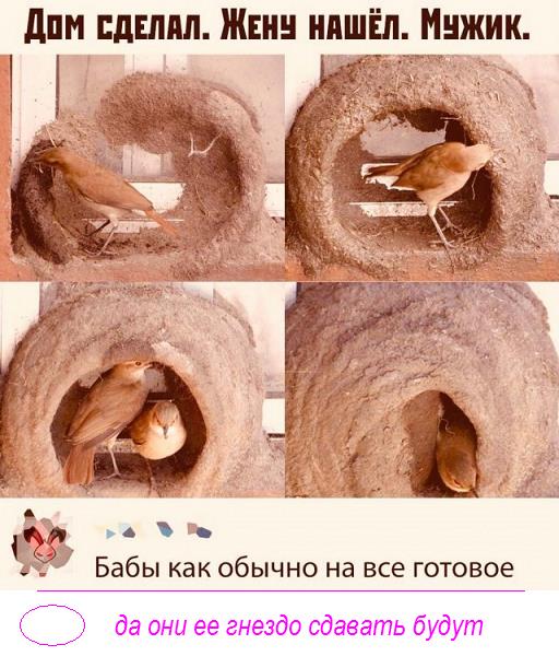 Бредзона 06.12.20