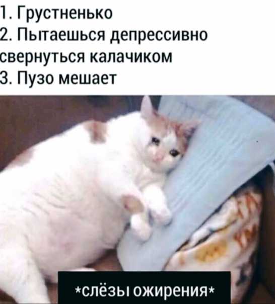 Картинки и мемы для настроения 008
