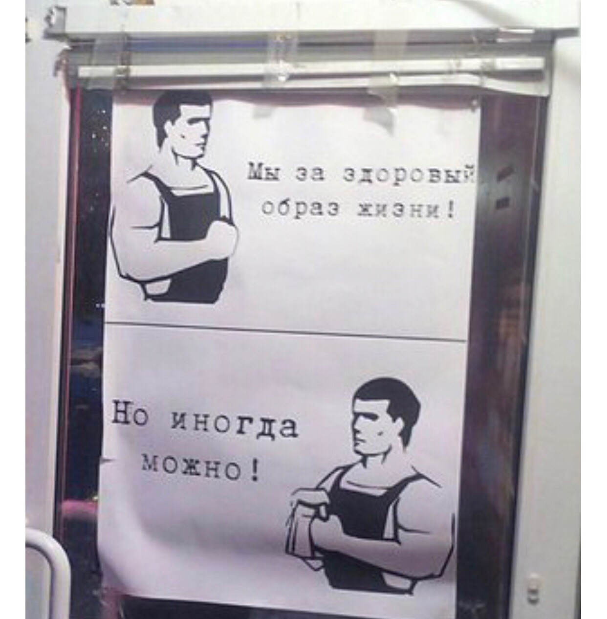 Смешные картинки про зож