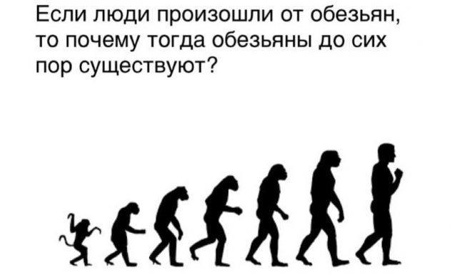 Бредзона 15.03.21