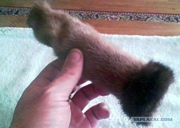 Новосибирск. Вода. Балкон. -41 градус C