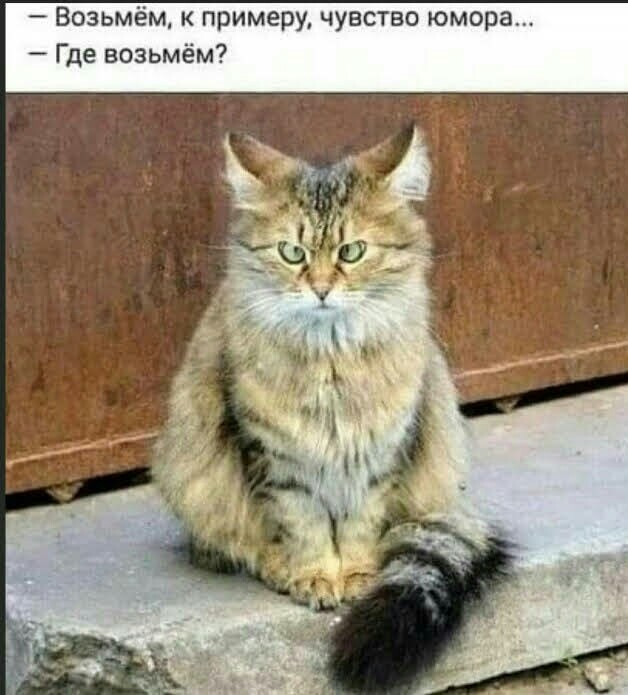 Калейдоскоп картинок