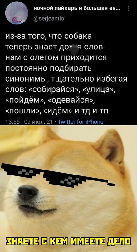 Картинки и мемы для настроения 12.07.2021