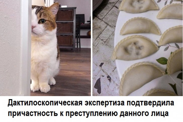 Мемасики для ЯПовцев - Часть 1