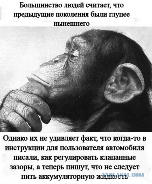 Владимир Путин предложил сделать единовременную выплату в 50 000 рублей блокадникам и награжденным за оборону Ленинграда
