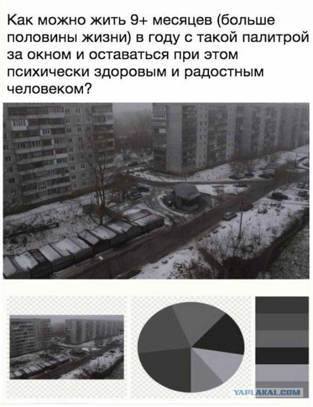 В Петербурге из реки Смоленки выловили сумку с расчлененным человеческим телом