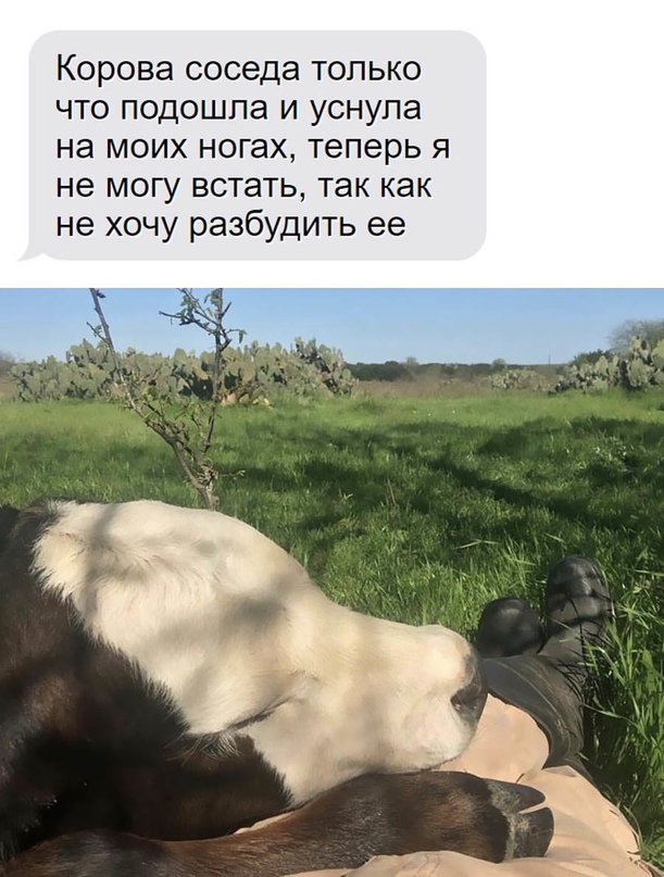 Картинки и мемы для настроения  - 27