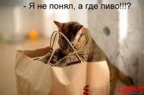 «По-другому нельзя». Корабли ЧФ покинули базы в Севастополе и Новороссийске